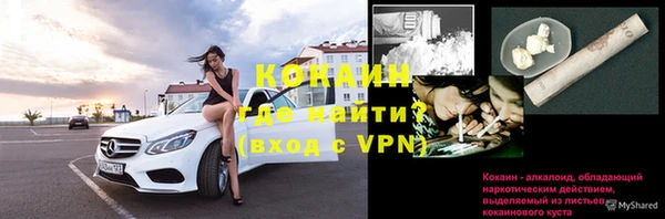 a pvp Богданович