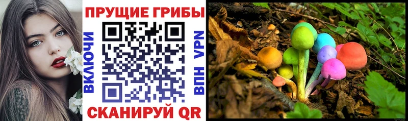 мега ссылка Калининец Галлюциногенные грибы мицелий как найти наркотики